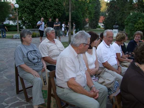 Poletni večer v parku: poezija, glasba in vino
